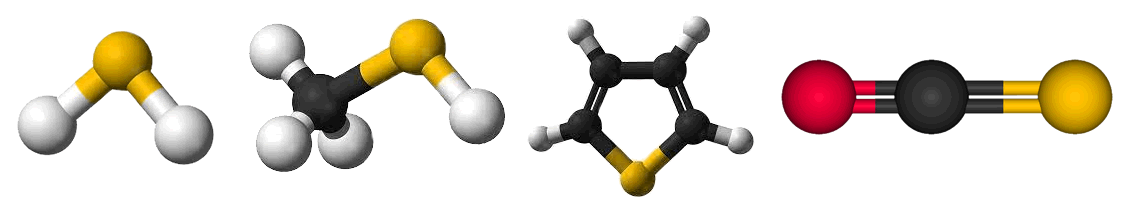 Sulphur Speciation